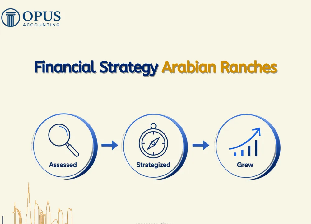 Financial Strategy Arabian Ranches