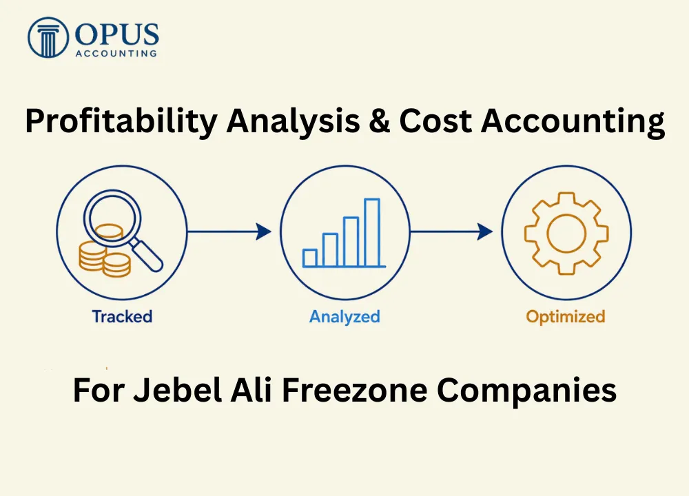 Profitability Analysis & Cost Accounting for Jebel Ali Freezone Companies