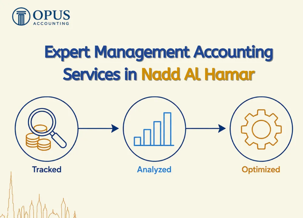 Expert Management Accounting Services in Nadd Al Hamar