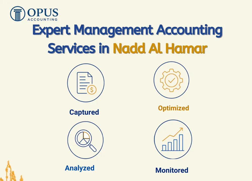 Expert Management Accounting Services in Nadd Al Hamar