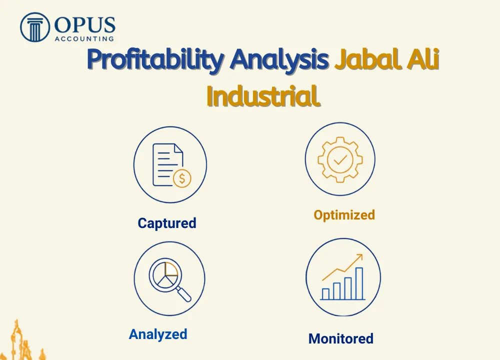 Profitability Analysis Jabal Ali Industrial