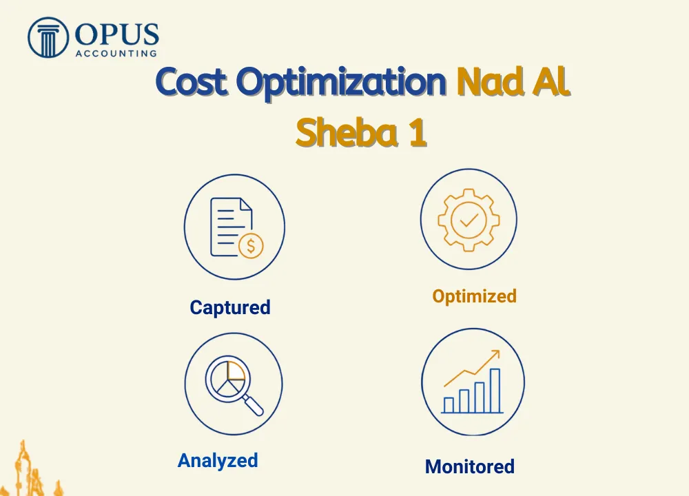 Cost Optimization Nad Al Sheba 1