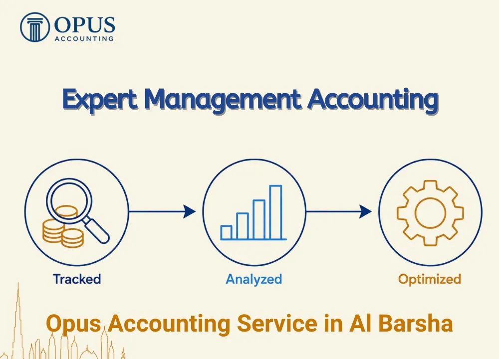Expert Management Accounting Services in Al Barsha