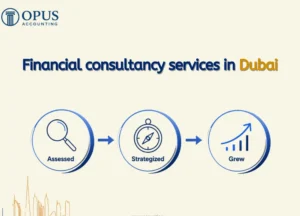 Financial consultancy services in Dubai